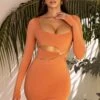 Cut Out Long Sleeve Mini Dress In Caramel 1 Cut Out Long Sleeve Mini Dress In Caramel -Women Clothes Shop 4051 1 sunset haven caramel cut open front hoop detailing long sleeve mini dress