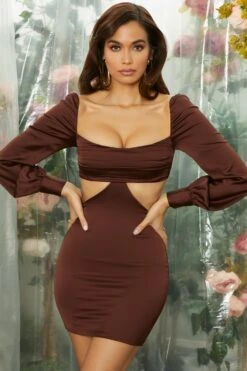 Ruched Bust Cut Out Long Sleeve Mini Dress In Brown -Women Clothes Shop 4759 2 hold me closer gathered bust long sleeve cut out mini dress