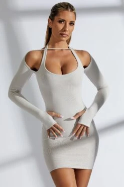 Bardot Mini Dress In Grey