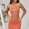 Keyhole Cut Out Detail Mini Dress In Apricot 2 Keyhole Cut Out Detail Mini Dress In Apricot -Women Clothes Shop 5216 2 Eldora Brown Keyhole Cutout Tie Detail Mini Dress 1