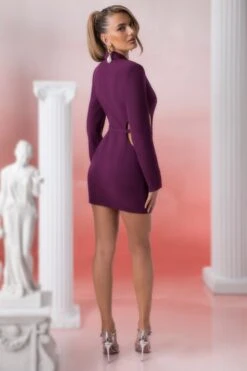 Blazer Mini Dress In Wine -Women Clothes Shop 5312 8 kardia wine waist belt detail blazer dress