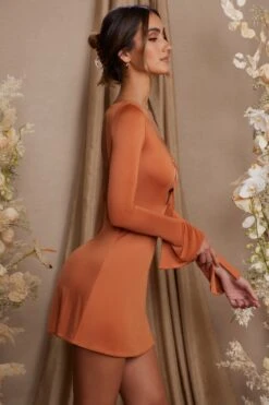 Long Sleeve Cut Out A-Line Mini Dress In Tan -Women Clothes Shop 5869 5 Cosette Tan Aline Dress With Tie