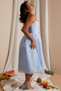 Strapless Corset Tulle Midi Dress In Blue -Women Clothes Shop 6921 5 Blue Strapless Box Pleat Midi Dress